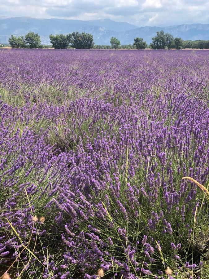 Maison De Village En Provence Baudinard Dış mekan fotoğraf